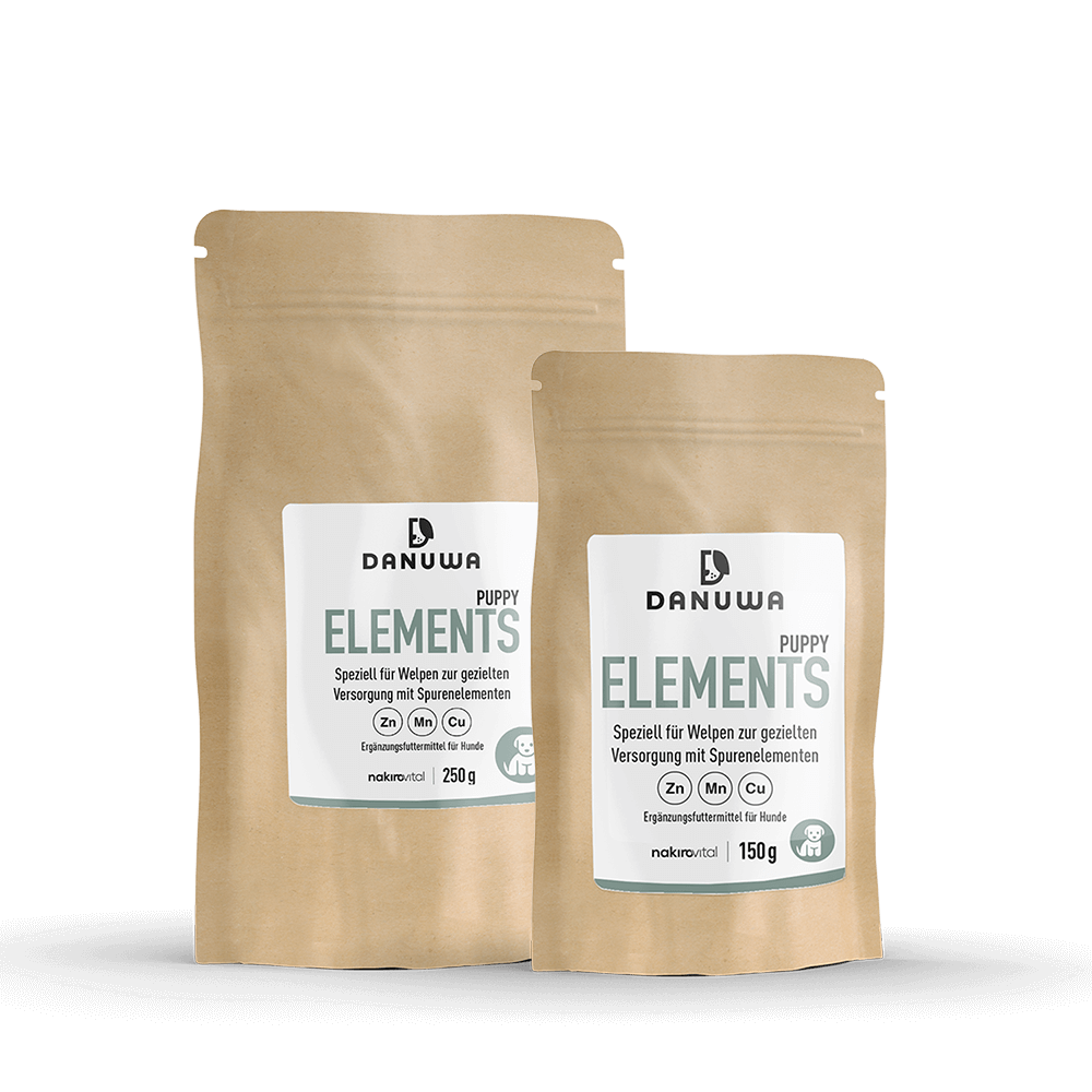 Elements-Puppy-Gruppe-web