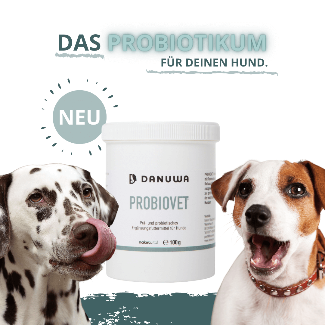 Probiovet- Das probiotikum fur Hunde